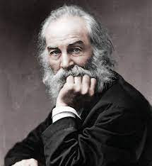 Photo of Walt Whitman with his head rested on his left hand